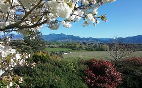 Omaka Heights Countrystay